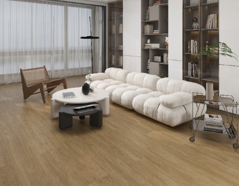 PK1523E 大杏运2_resized 474